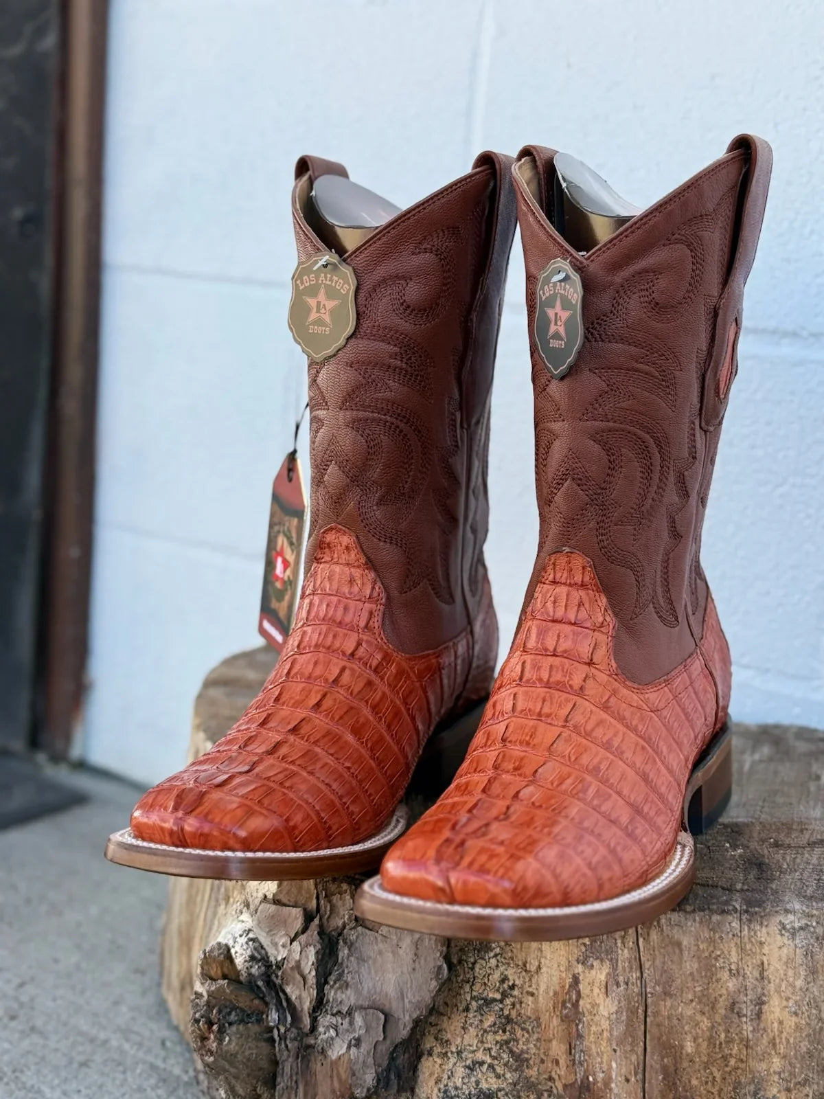 Men's Exotic Boots
