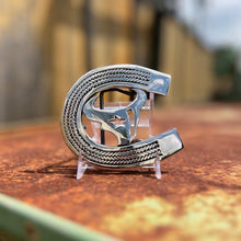 Stainless Steel Texans Buckle