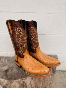 Pollo Boots Paja Ostrich Boots