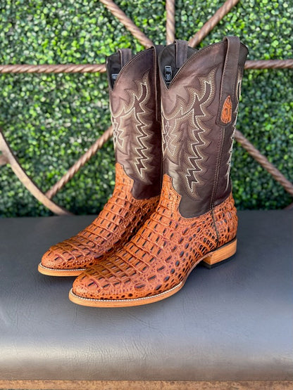 Polloboots Croc Print Boots