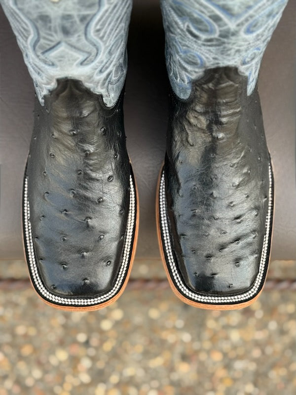 Pollo Boots Black Ostrich Boots