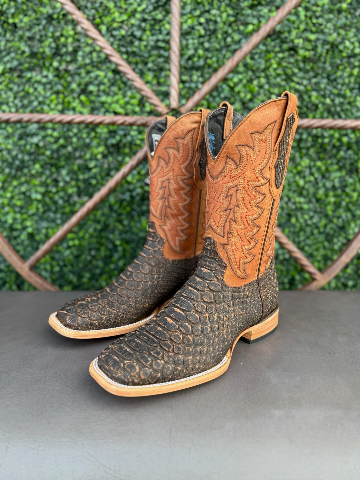 Lazo Python Boots