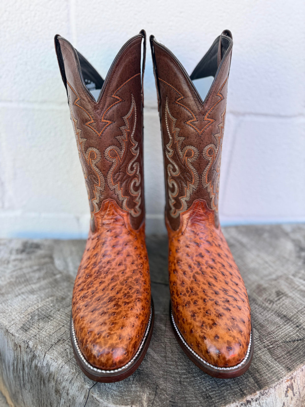 Pollo Boots Shedron Ostrich Boots