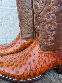 Pollo Boots Shedron Ostrich Boots