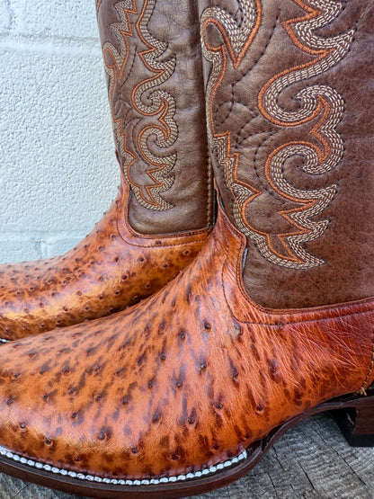 Pollo Boots Shedron Ostrich Boots